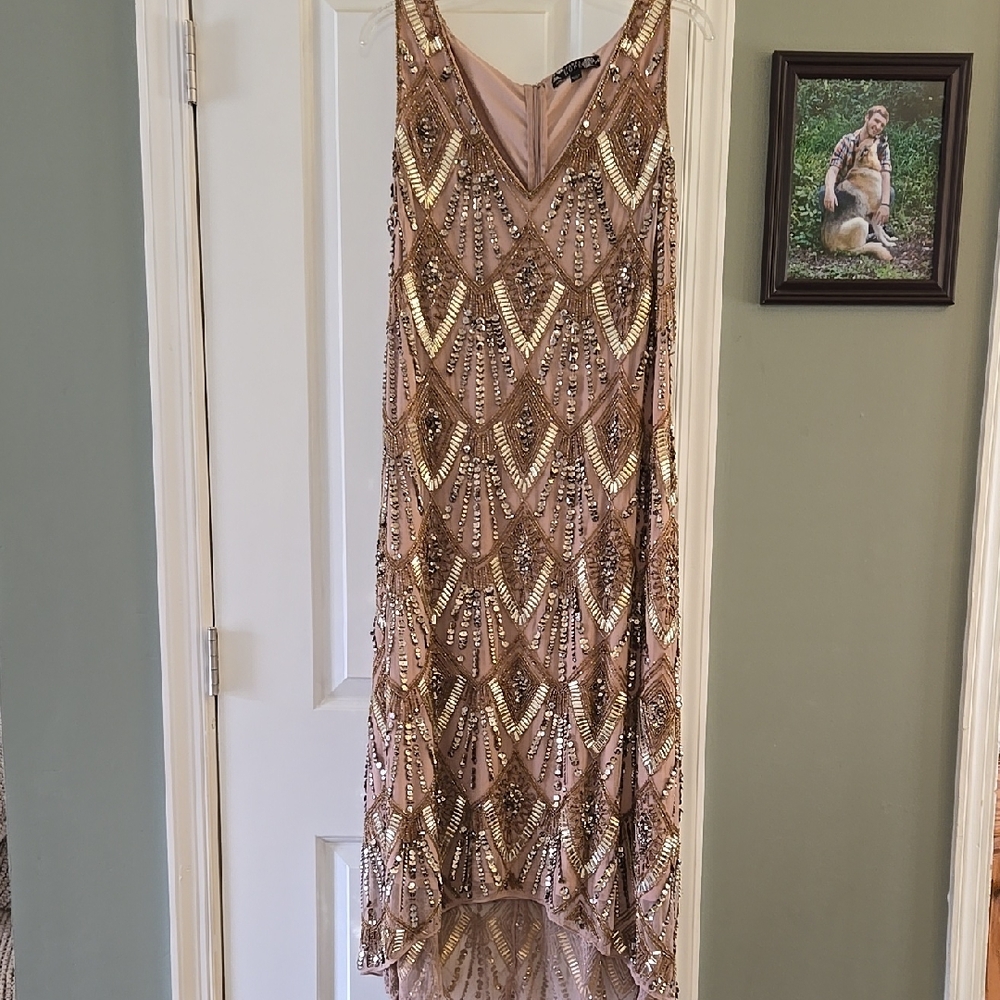 Joanna Hope Gold & Brown Embellished Sequence  High Low Maxi Formal Dress